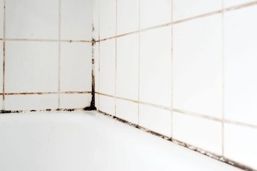 Mold in bathroom