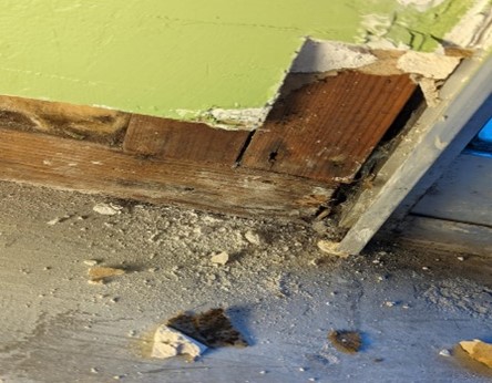 Mold damage